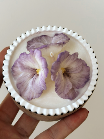 Viola Candita